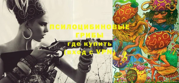молекула духа Нея
