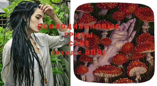 молекула духа Нея