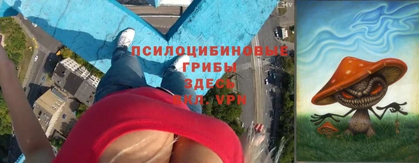 молекула духа Нея