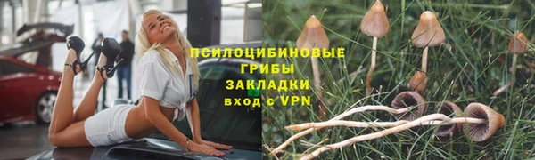 MDMA Новозыбков