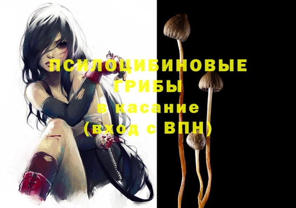 ГАЛЛЮЦИНОГЕННЫЕ ГРИБЫ Новодвинск