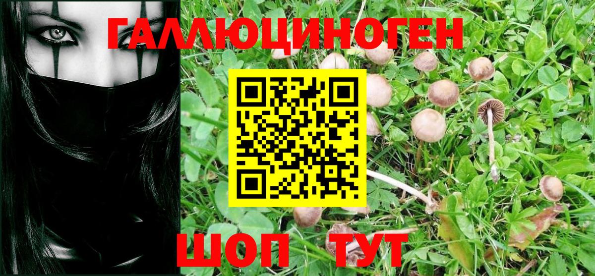 Псилоцибиновые грибы мухоморы Морозовск