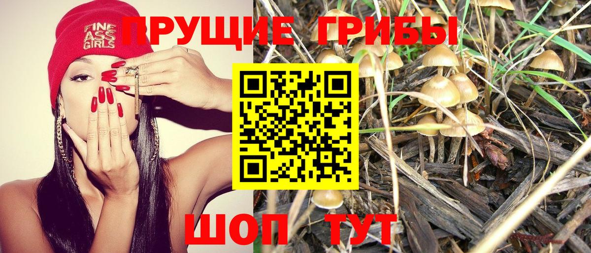 Галлюциногенные грибы мицелий  Вход с VPN  Галлюциногенные грибы Magic Shrooms  Морозовск 